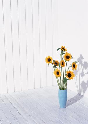 技術が確かな浜松のお風呂リフォーム会社